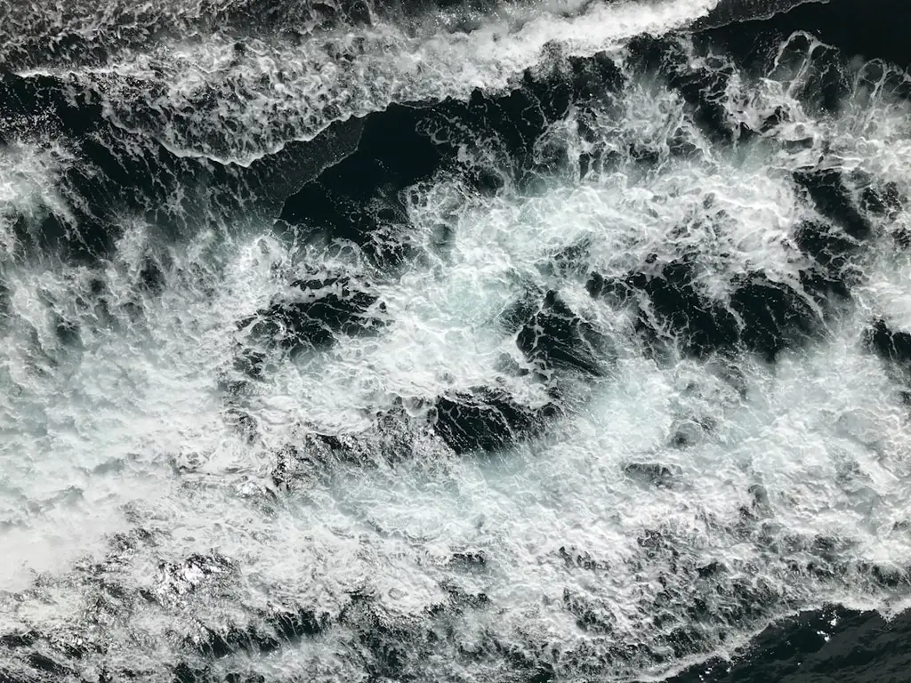 權證手續費富邦：投資權證精明省錢指南